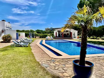 a pool with a palm tree next to a house at Villa SOLAR DO MONTE 5 in Albufeira
