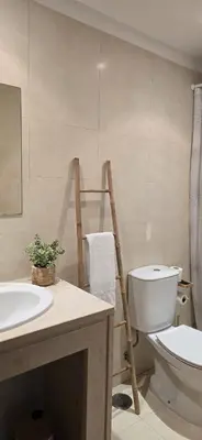 a bathroom with a toilet and a sink and a ladder at Quinta Do Vale 32 by AL in Guia