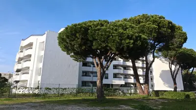 a white building with two trees in front of it at Tenis Golf Mar A209 - CD 309 - Sleeps 2 adults and 2 children in Vilamoura