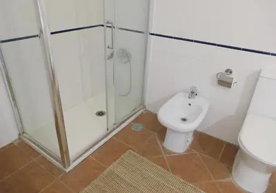 a bathroom with a shower and a toilet at Manso da Falésia in Olhos de Água