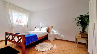 a bedroom with a bed and a potted plant at Lazaro Beach House in Faro
