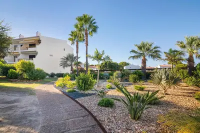 a garden with palm trees and a walkway at Sol Nascente 2_vilamoura in Quarteira
