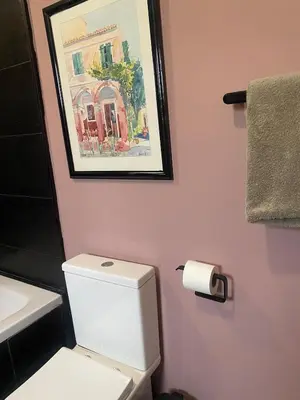 a bathroom with a toilet and a picture on the wall at Country villa in Algarve, 15 min from beach in Albufeira