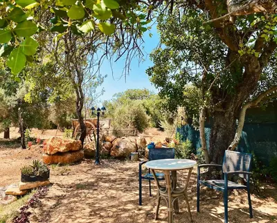 a table and chairs sitting under a tree at Country villa in Algarve, 15 min from beach in Albufeira