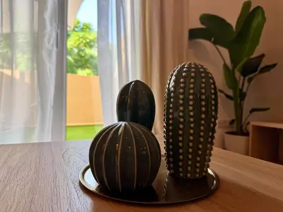 three black cactuses sitting on top of a table at Cosy 1-Bedroom Apartment with Private Terrace in Loulé in Loulé
