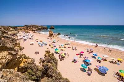 a group of people on a beach with umbrellas at Oliveira by Vintage Travel in Guia
