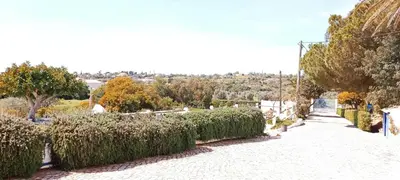 a street with a row of bushes and trees at Quinta do Lagar - 01 in Albufeira