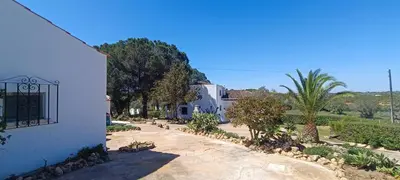 a yard with a house and a palm tree at Quinta do Lagar - 04 in Albufeira