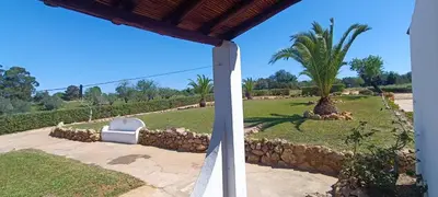 a yard with a palm tree and a stone wall at Quinta do Lagar - 06 in Albufeira