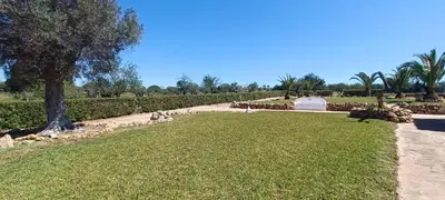a park with a tree and a field of grass at Quinta do Lagar - 07 in Albufeira