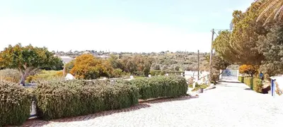 a street with a row of bushes and trees at Quinta do Lagar - 08 in Albufeira