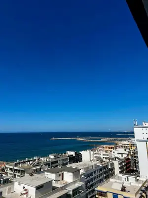 a potted plant sitting on a table in a kitchen at Ocean View Apartment Steps to Beach Vil15m Faro25m in Quarteira