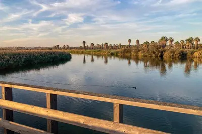 a view of a river with palm trees and a fence at Dunes Apartment - Near the Beach in Guia