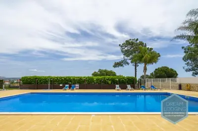 a swimming pool with chairs and a palm tree at Quinta do Pinheiro Residence AF - Dream Lodging in Albufeira