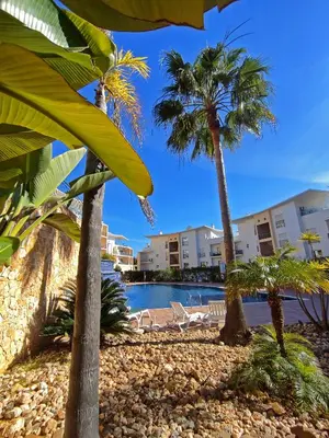 a resort with palm trees and a swimming pool at Serenity by the Ocean Penthouse by BeCherish in Páteo