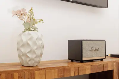 a vase of flowers and a speaker on a table at Top-Floor 2BR, Sea and city Views & Jacuzzi in Faro