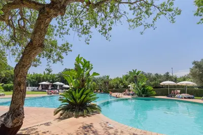 a garden with a tree and some bushes and flowers at Bonita V3 431, Health club, tenis, golf, no Balaia Golf Village in Olhos de Água