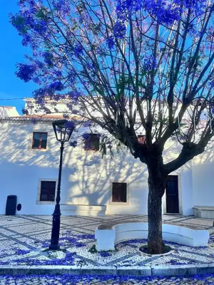 a tree and a street light in front of a building at The Lemon Tree House by IntiHolidays in Boliqueime