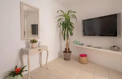 a living room with a tv and a potted plant at Studio 39 Downtown in Faro