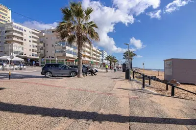 a palm tree on a sidewalk next to the beach at Abertura Mar Zen in Quarteira