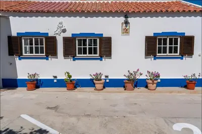 a white building with windows and potted plants at Blife Lucelya private rooms at Faro beach in Faro