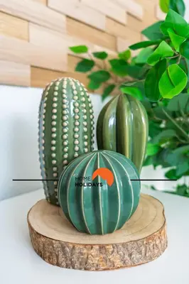 two green cacti on a wooden stand with a plant at #313 Travessa dos Arcos Flat by Home Holidays in Albufeira