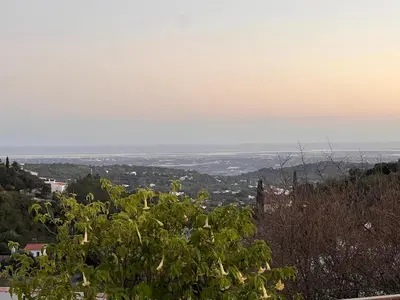 a view of a city from a hill with a tree at Quinta do Olival - Casa Limão - Calm & wellness in São Brás de Alportel