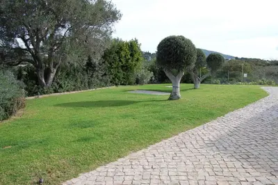 a barbecue grill and a stove in a backyard at Villa Monte Alegrete with sea view in Faro