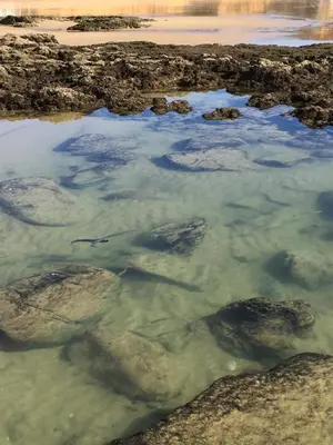 a body of water with rocks and clouds at Beautiful T2 Apartamento Olhos do Mar in Olhos de Água