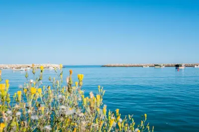 a view of the water with flowers in the foreground at Vitismar Praia Algarve in Guia
