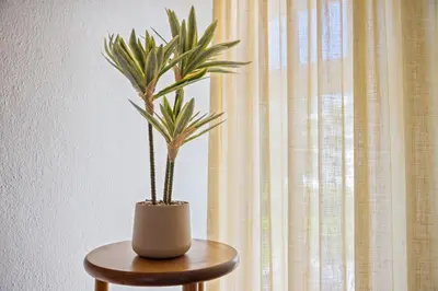 a potted plant sitting on a table next to a window at Bright 3BDR Vilamoura Retreat Flat by LovelyStay in Quarteira