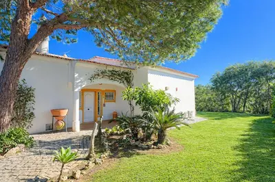 a white house with a tree in the yard at Pinheiro Manso by Check-in Portugal in Albufeira