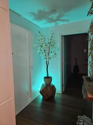 a room with a potted tree in a vase at Apartamento Platinum in Faro