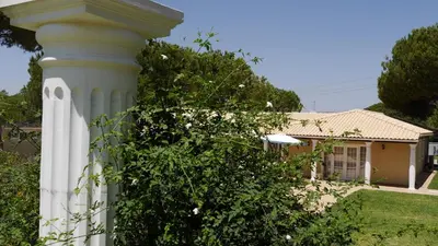 a swimming pool in front of a house with palm trees at Villa Levira with private Pool in Quarteira