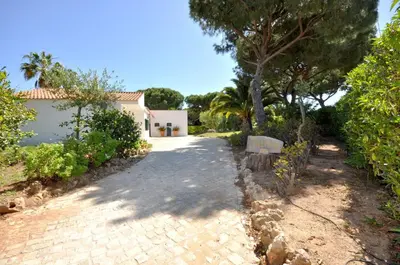 a driveway leading to a house with a tree at Casa da Palmeira in Quarteira