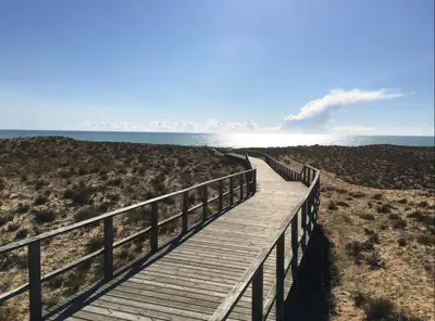 a wooden boardwalk leading to the ocean on a beach at Luxury Apartment Salgados Village in Guia