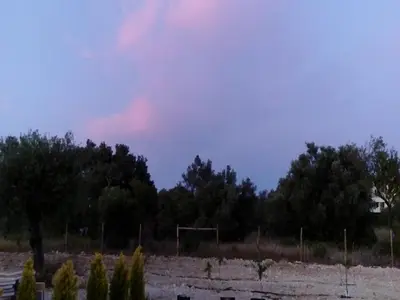 a field with trees and a soccer ball at Apartamentos Casa Brito, Boliqueime by AlgarveBlossom in Boliqueime
