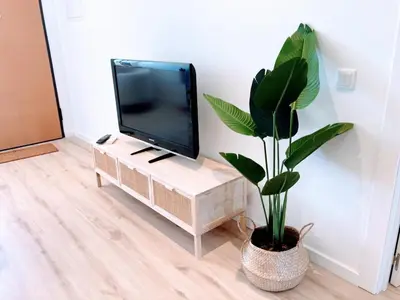 a living room with a tv and a potted plant at Apartamento T2 Moderno no Centro de Faro - ML - Market Tower in Faro