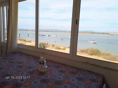 a dog sitting on a bed looking out at a beach at Blife Faya private apartment in FAO