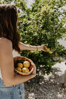 a woman is holding a basket of fruit at Luzico ALGARVE in Loulé