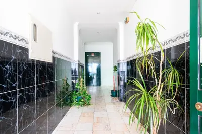 a hallway with black tiled walls and a plant at Apartamento Norte by Férias com Sol in Quarteira