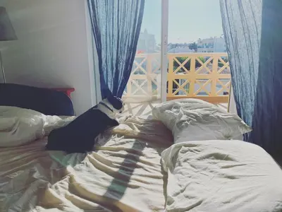 a bed with a dog sitting on it in front of a window at C Dreams - Comfortable and luminous apartment in Albufeira