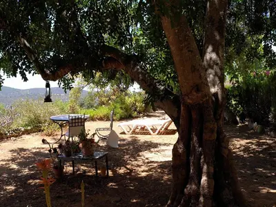a car parked under a shed in a driveway at Algarve Casa with Pool in Loulé