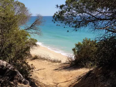 a view of the ocean from a sandy beach at Albufeira Falesia Beach Apartment in Albufeira