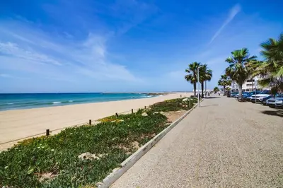a beach with palm trees and cars parked on it at AL- Apartamentos Novos Vista Mar in Quarteira