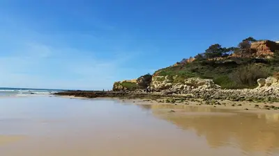 a beach with a bunch of birds on the sand at Vista das Ondas Apartamento 205 B2 - Olhos de Agua in Albufeira