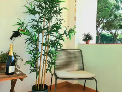 a chair and a plant and a bottle of wine at Apartment Amalia in Albufeira