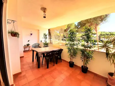 a dining room with a table and potted plants at Apartment Amalia in Albufeira