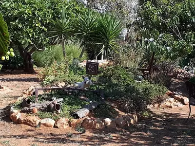 a garden with a koala sitting on a bench at Retiro da Janela in Boliqueime