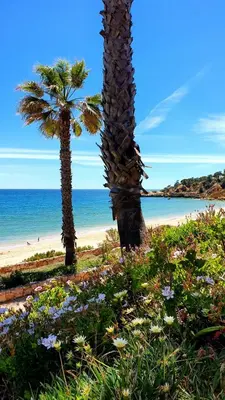 two palm trees and flowers on a beach at São Rafael Golden Pearl Haven in Albufeira
